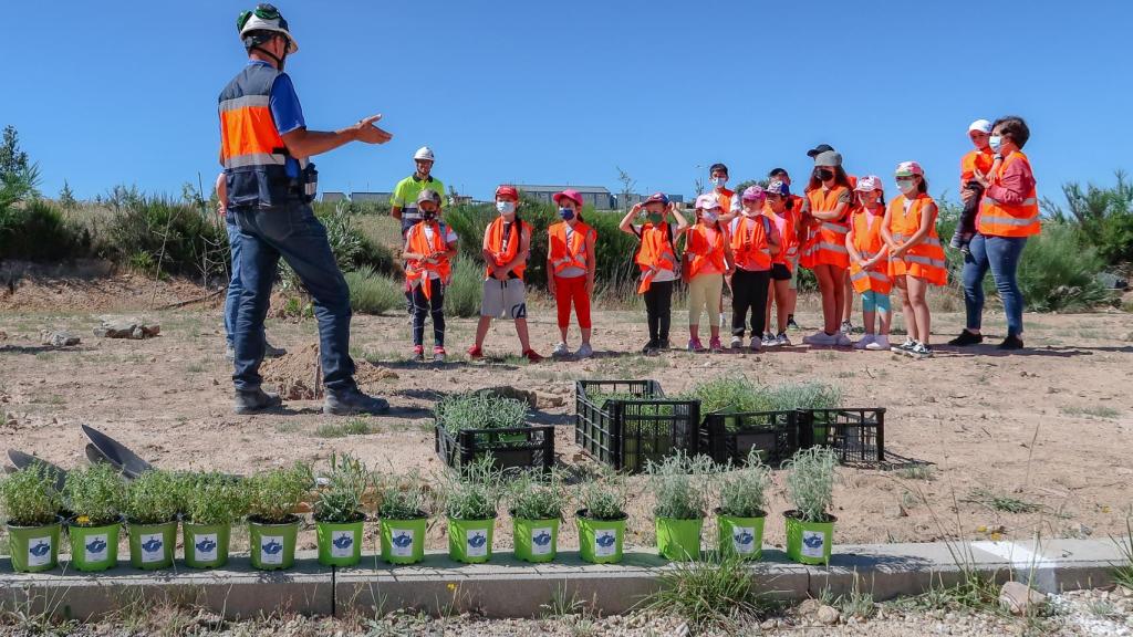 Los escolares de Barruecopardo plantan árboles en la mina de Saloro