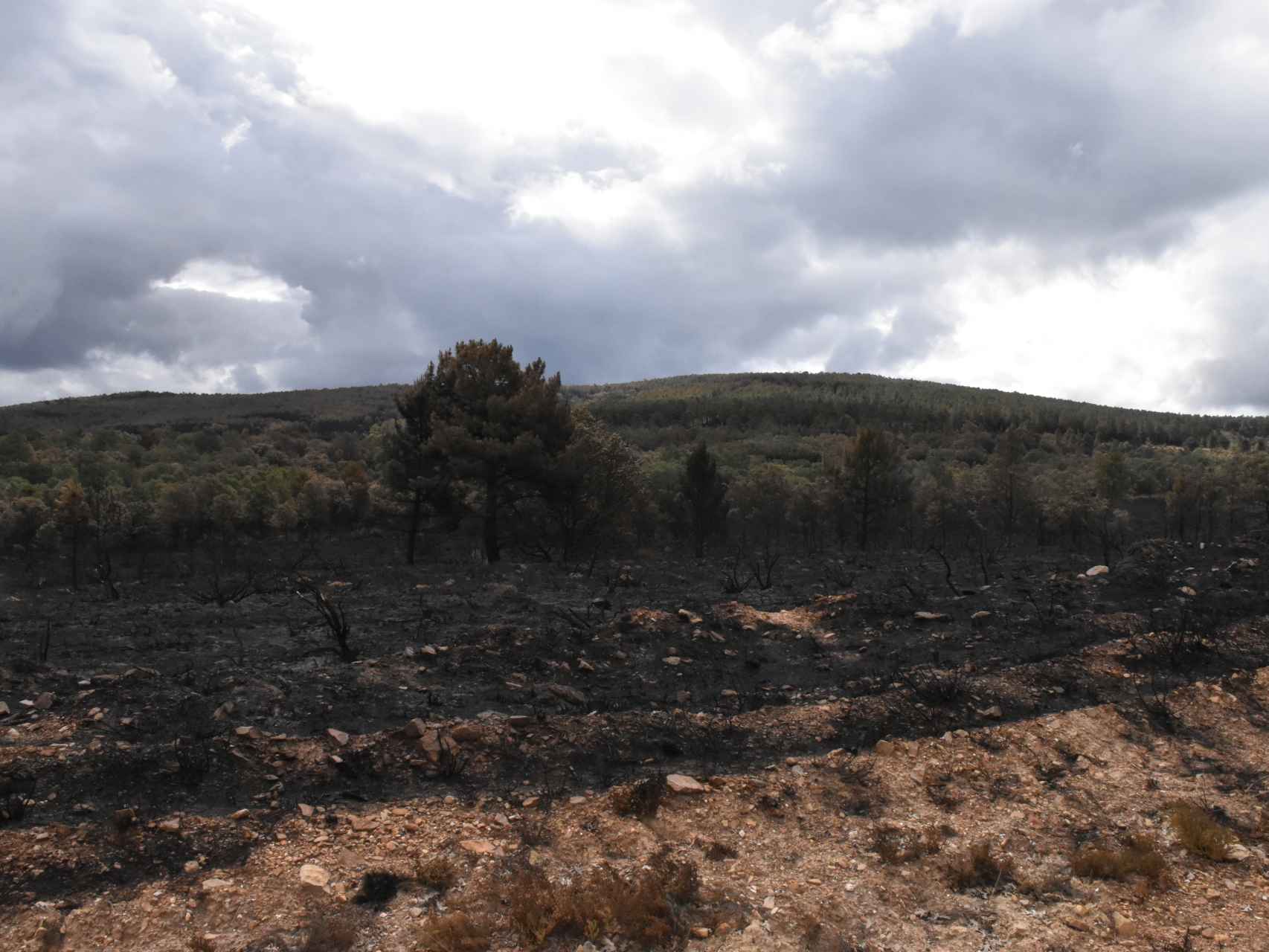 Imagen del estado de la Sierra de la Culebra (Zamora) días después del incendio de la semana pasada.