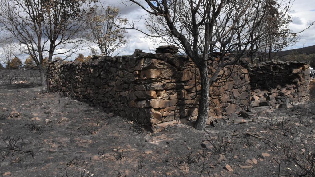 Días después del incendio en la Sierra de la Culebra