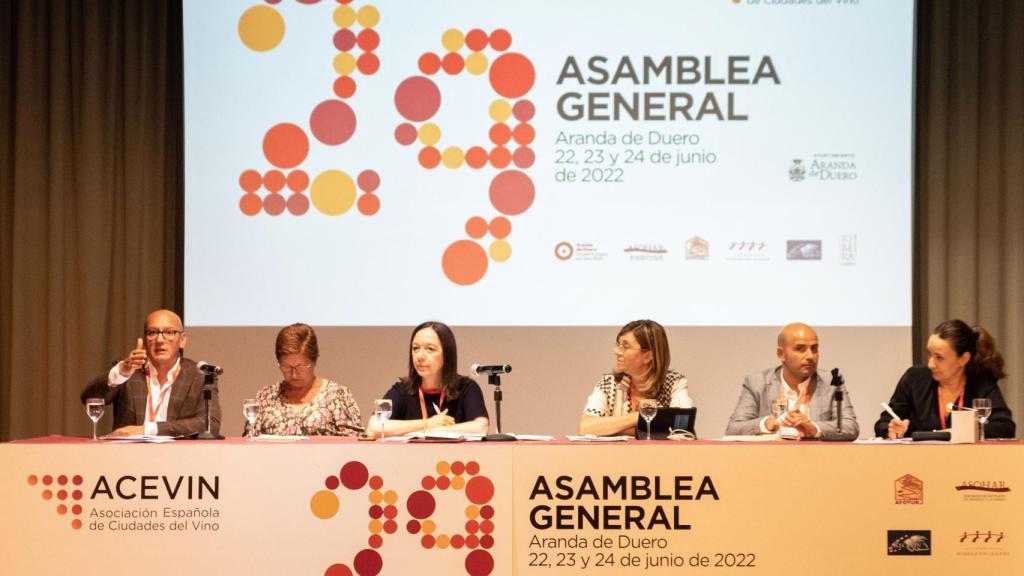 XXIX Asamblea General de ACEVIN.