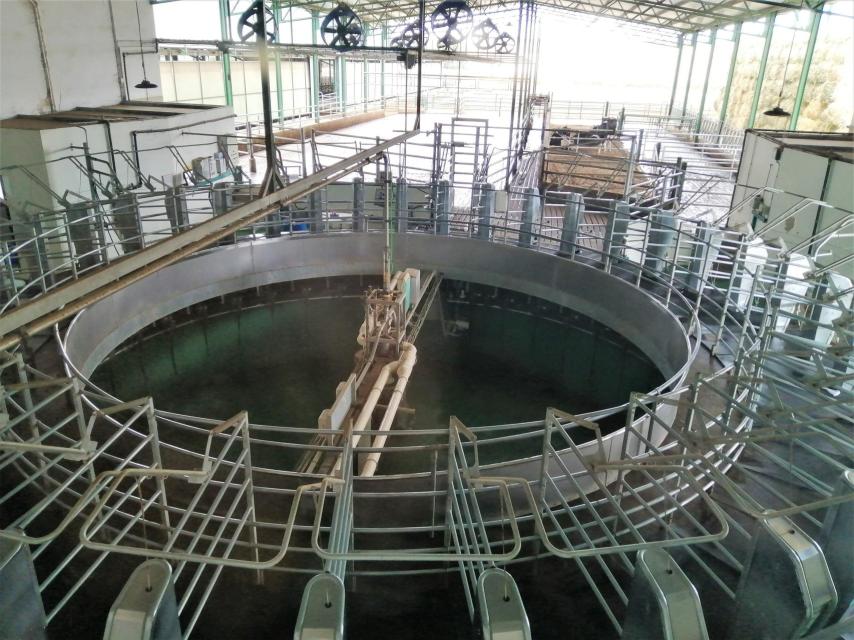 La instalación rotatoria con 40 puestos para el ordeño automático de las vacas, en la Ganadería El Cruce. Arriba están los ventiladores y duchas para refrescar a las vacas cuando hace calor.