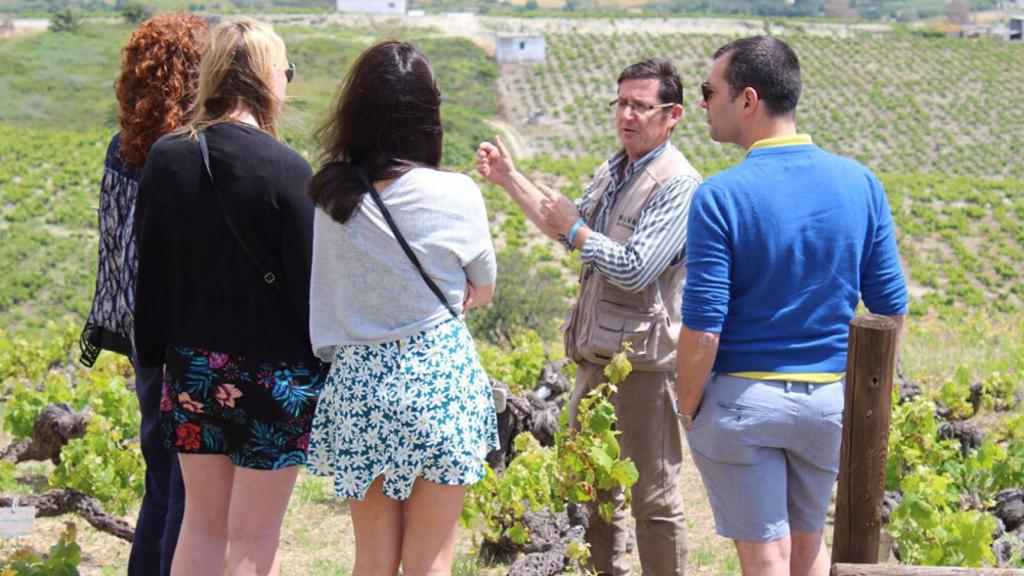 La Bodega Nilva organiza visita guiadas a sus viñedos.