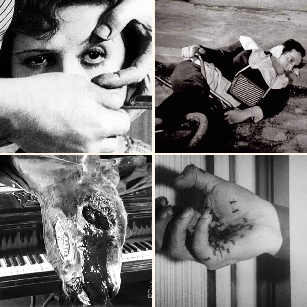 Varios fotogramas de 'Un perro andaluz', de Luis Buñuel.