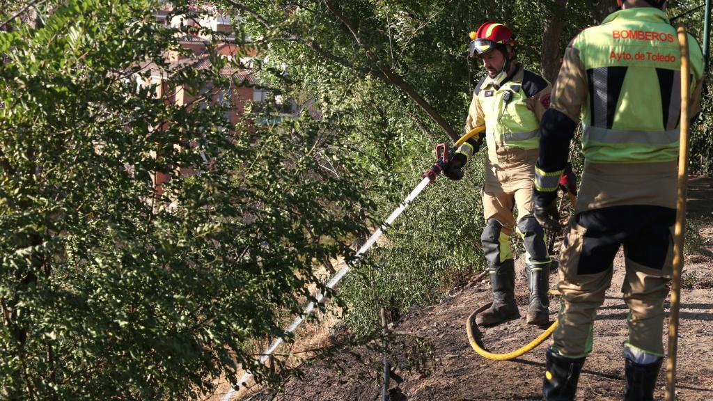 Incendio en el Parque de la Vega de Toledo. Foto: Óscar Huertas.