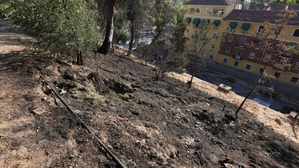 Incendio en el Parque de la Vega de Toledo. Foto: Óscar Huertas.