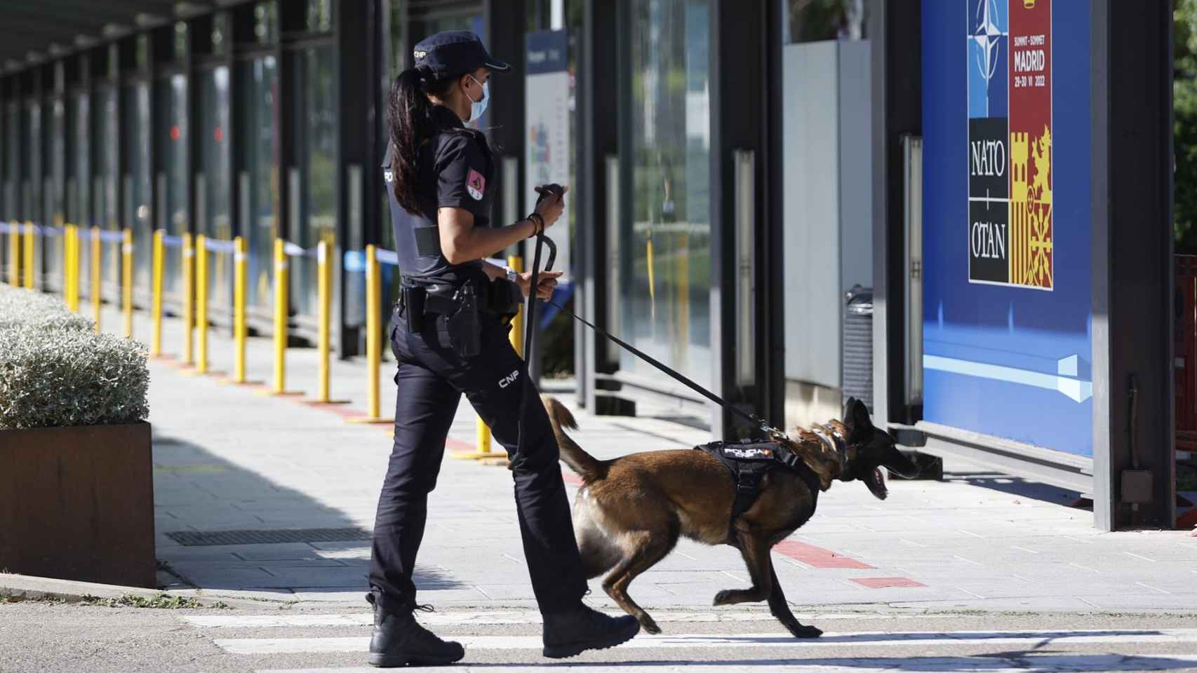 Una agente de la Policía Nacional, en IFEMA, junto a un perro.