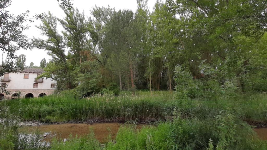 Río Duratón en Peñafiel