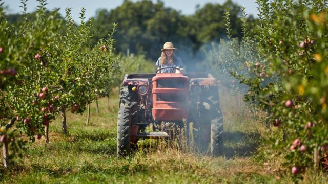 La feminización del rural