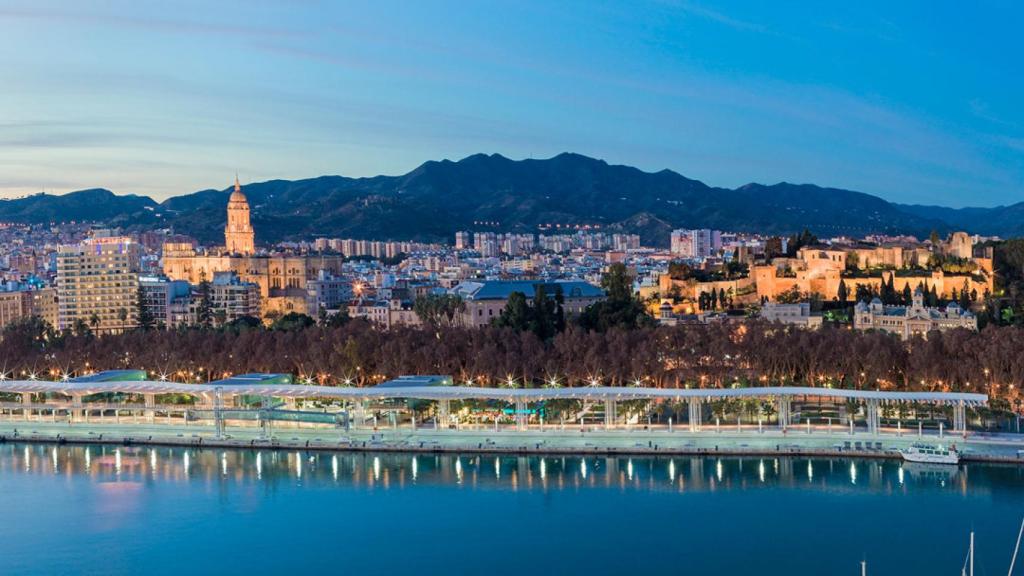 Vista de Málaga desde el puerto.