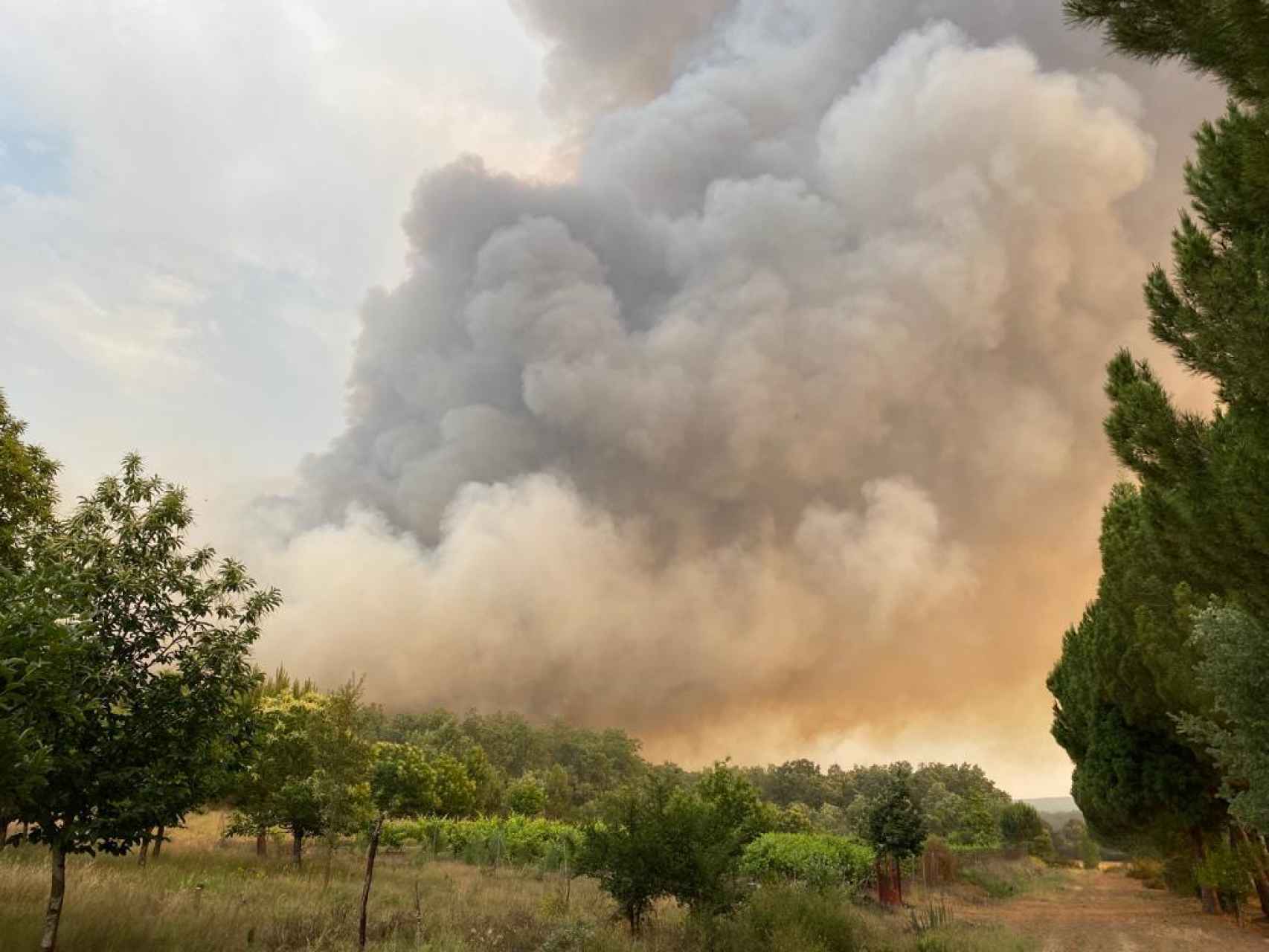 Imagen de archivo de un incendio en Castilla y León.