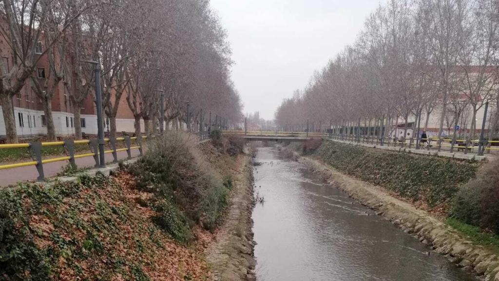 Paseo del Cauce, lugar donde tuvo lugar el accidente