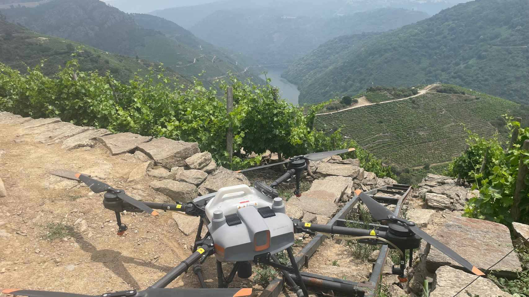 La bodega Regina Viarum incorpora ‘drones viticultores’ en la Ribeira Sacra