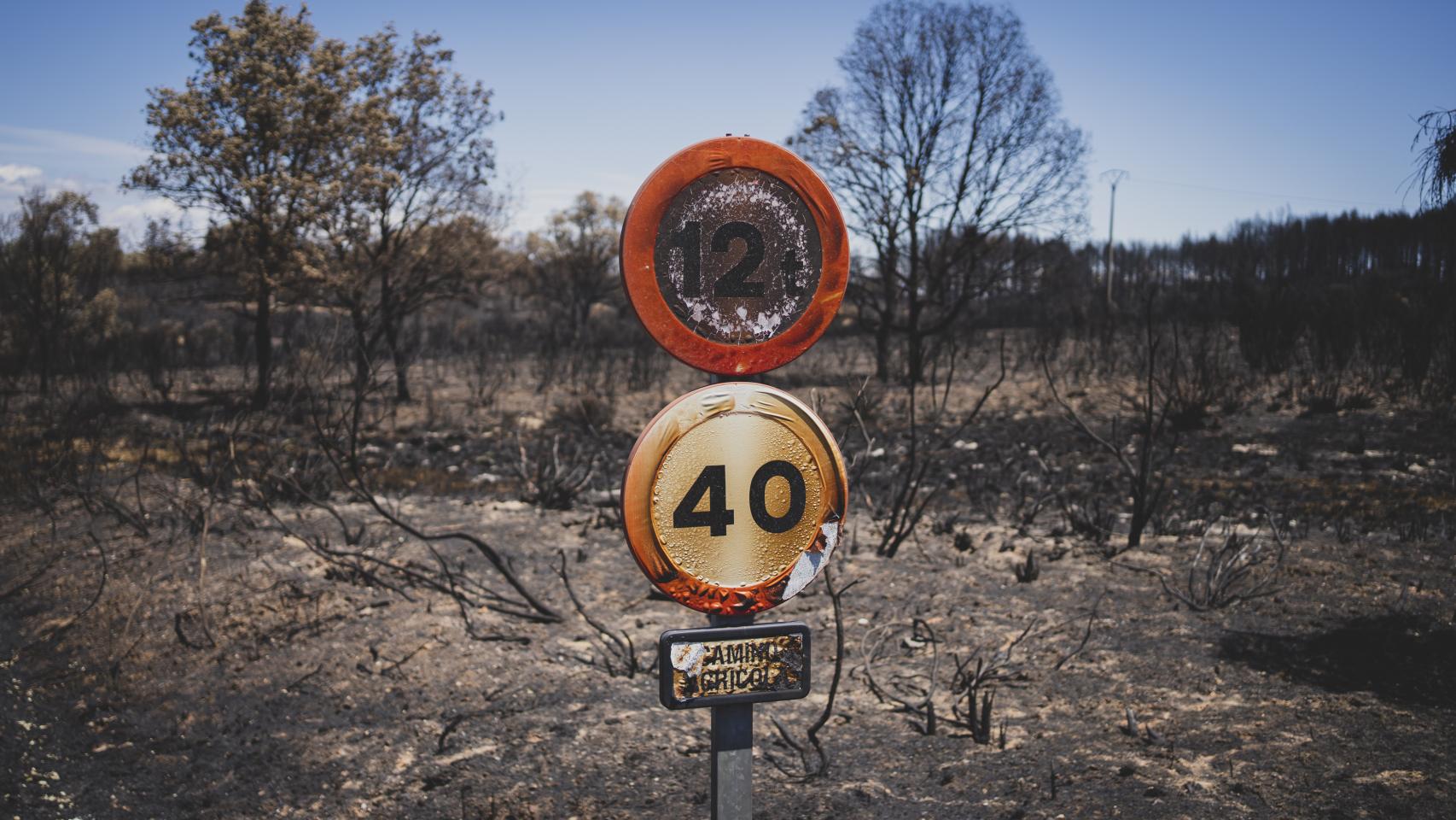 Incendio forestal en la Sierra de la Culebra en Zamora