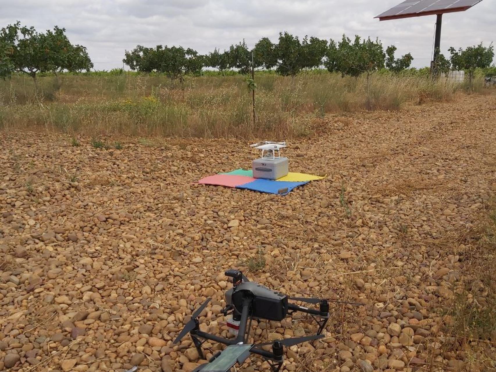 Imagen de los drones puestos por Grupo Pistacyl en el cultivo