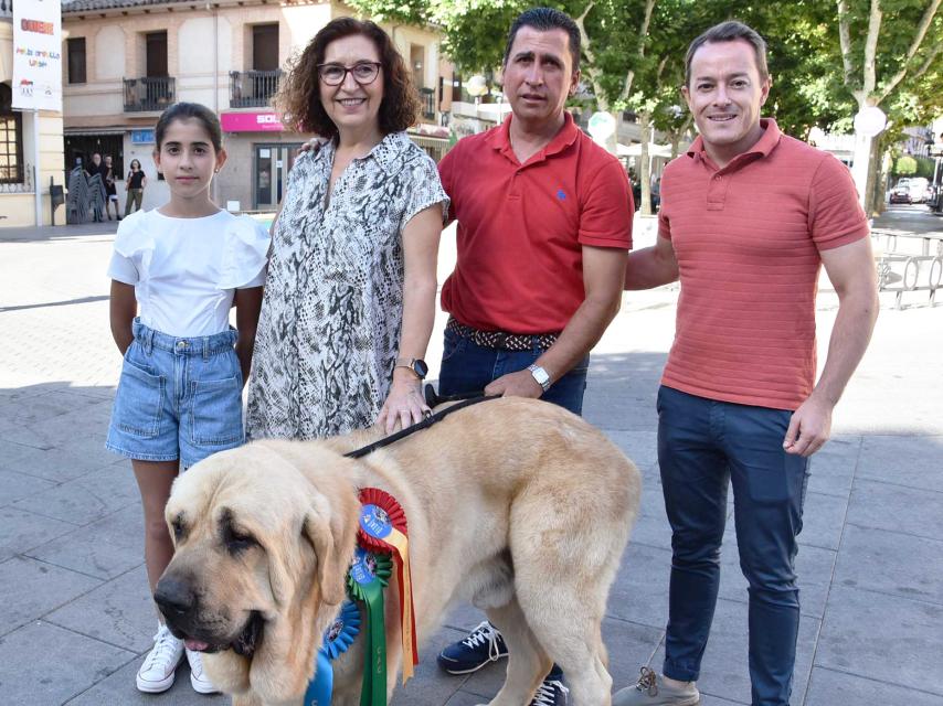 El mastín más bonito del mundo es de Miguelturra y pesa 96 kilos