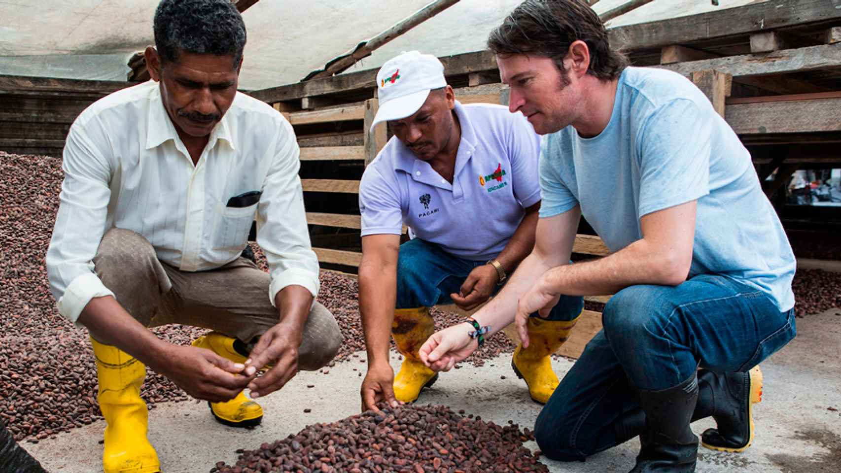 Santiago Peralta revisando los granos de cacao