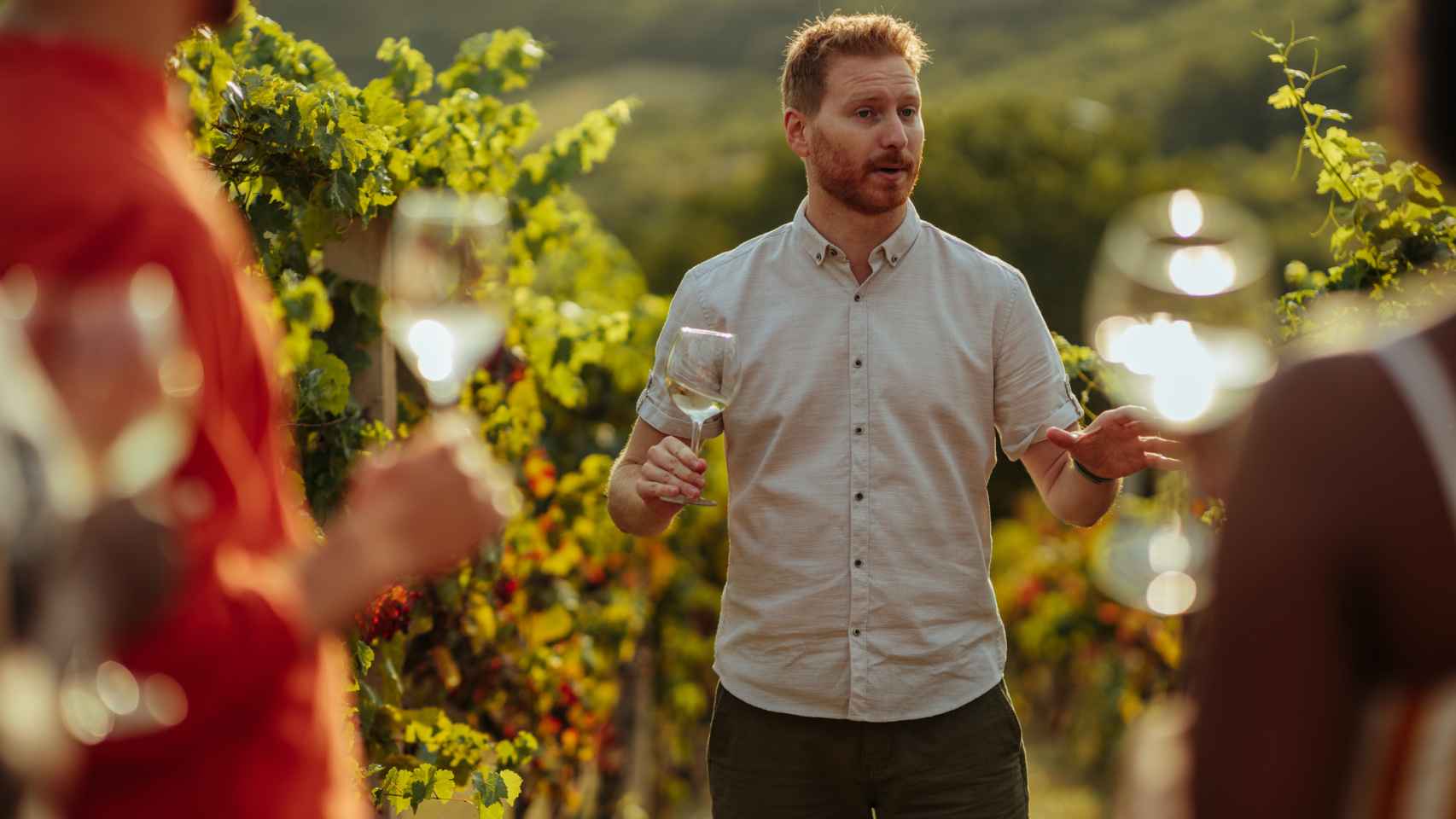 Un hombre explica cómo funciona el viñedo a turistas enológicos.