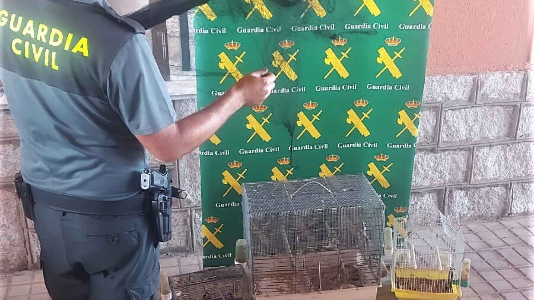 Las jaulas para atrapar aves protegidas