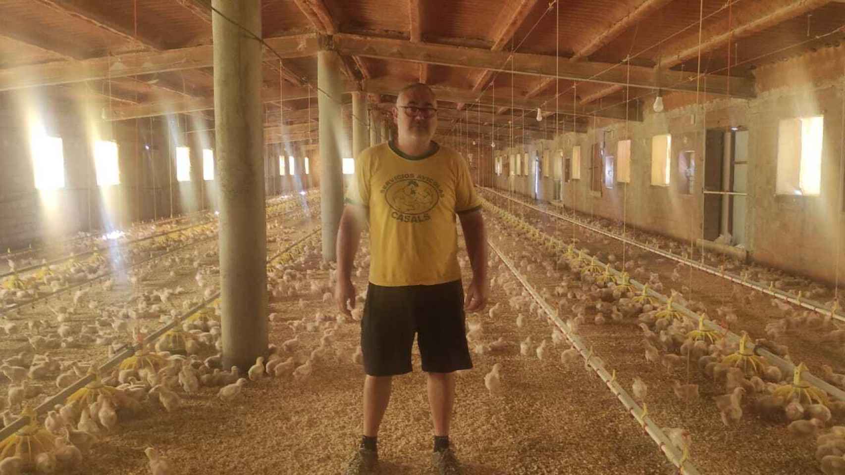 Eloy Ureña, granjero de pollos y responsable avícola de COAG, en su granja.