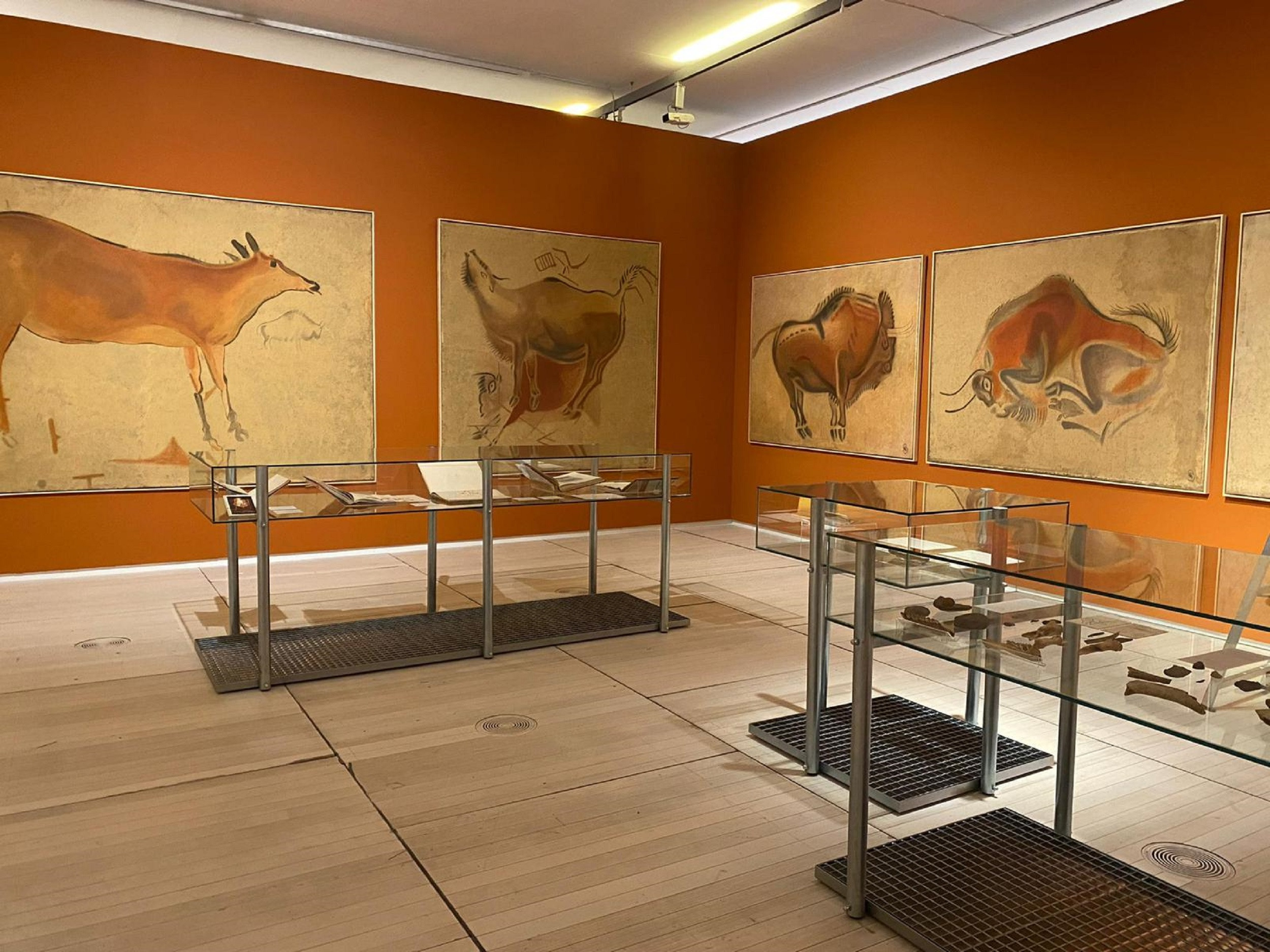 Exposición de Arte Prehistórico en el MAN. Foto: Deputación de Pontevedra