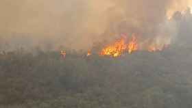 La Junta y el Ministerio trabajan para extinguir un incendio forestal en Villanueva del Conde, en Salamanca