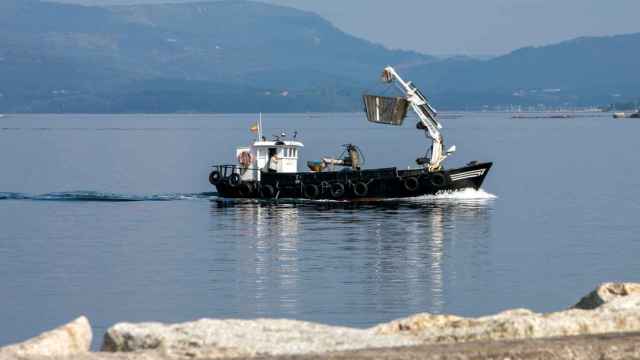 Barco pesquero, pesca