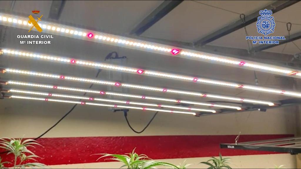 Paneles LED para acelerar el crecimiento de las plantas