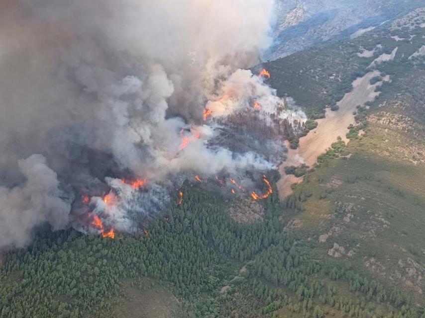 Incendio de El Ladrillar que ha entrado en la provincia de Salamanca