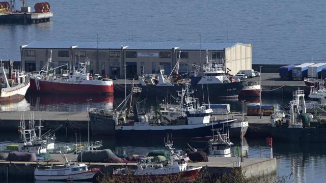 Barcos pesqueros amarrados en el puerto de A Coruña.