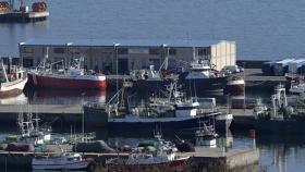 Barcos pesqueros amarrados en el puerto de A Coruña.