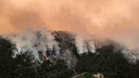 Arde la Sierra de Candelario./ #IFCandelario