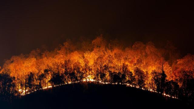 incendio forestal