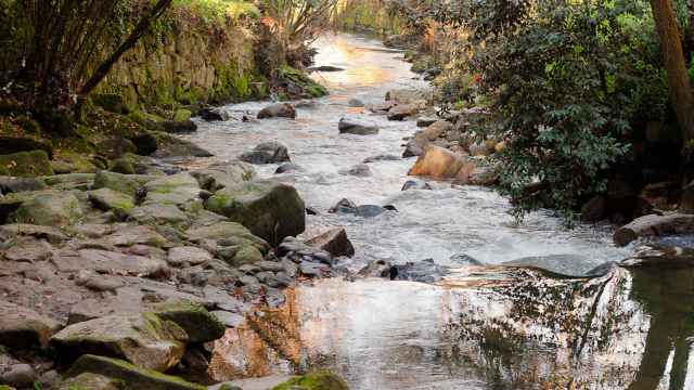 Río Lagares de Vigo.