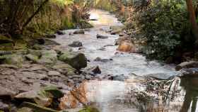 Río Lagares de Vigo.