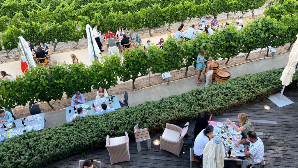 Terraza Bodegas Valdemar