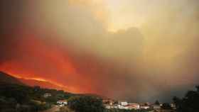 Incendio forestal en Monsagro