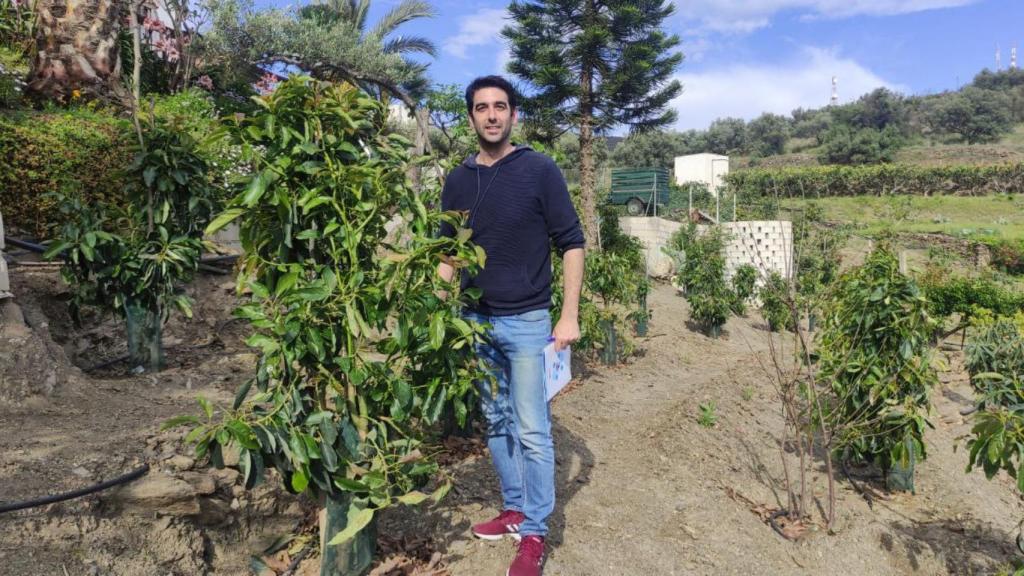 Ernesto Rico en la plantación de aguacates de su familia