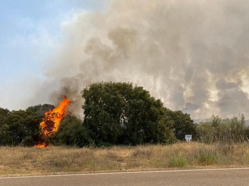 Imagen del fuego entre Castroñuno y Pollos