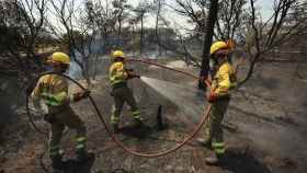 Labores de extinción del incendio forestal en Fuentes de Oñoro