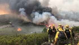 Incendio forestal en Monsagro