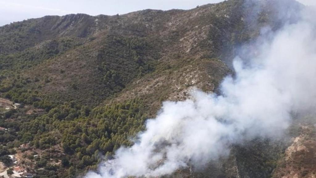 Incendio forestal declarado en Ojén.