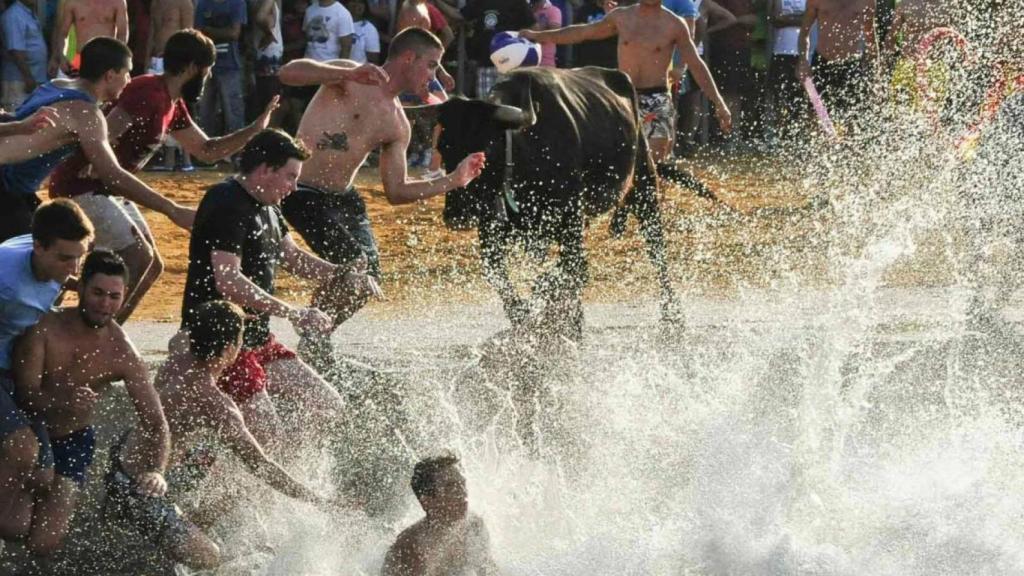 Imagen promocional de los 'bous a la mar' de Dénia.