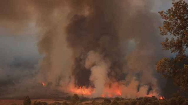 El avance del incendio forestal de Monsagro obliga al desalojo de Guadapero y Morasverdes (Salamanca)