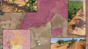 Detectan riegos ilegales en 200 hectáreas de campo de Albacete y Cuenca