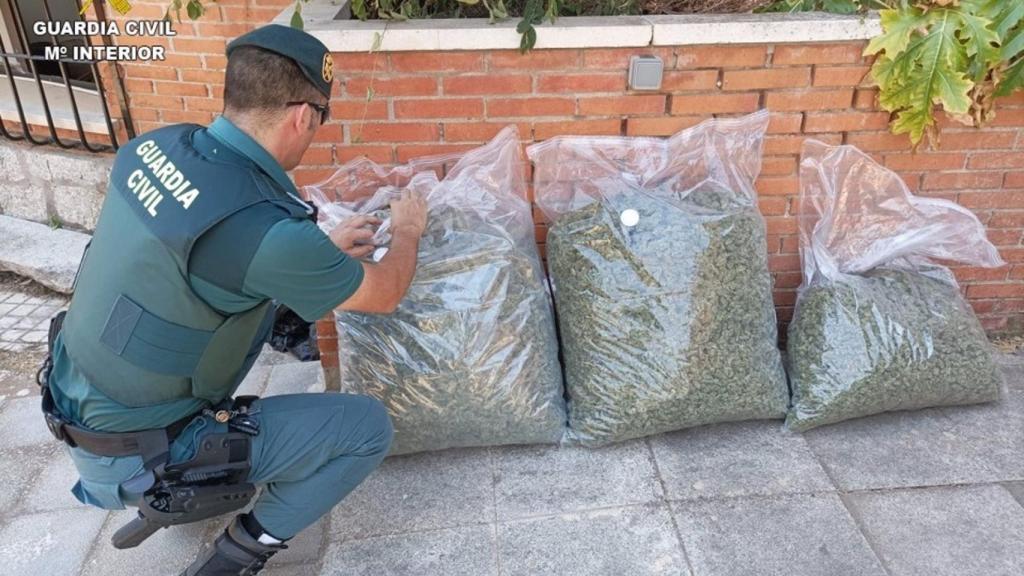 Interceptan 19 kilos de marihuana en un control de la A-4