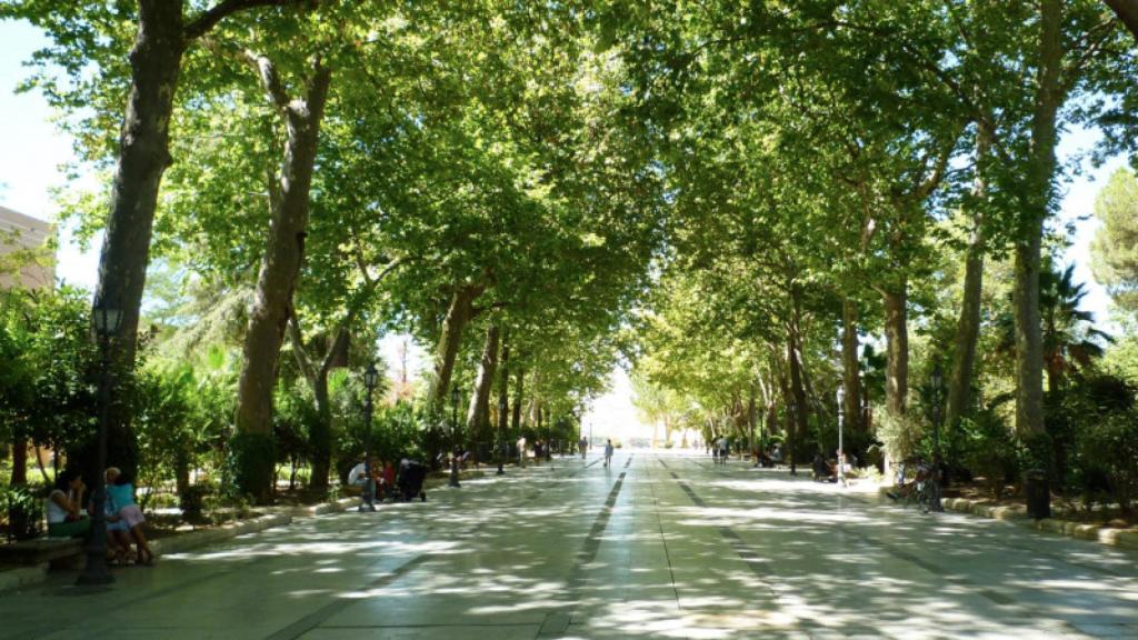 Una imagen de la Alameda del Tajo (Ronda).