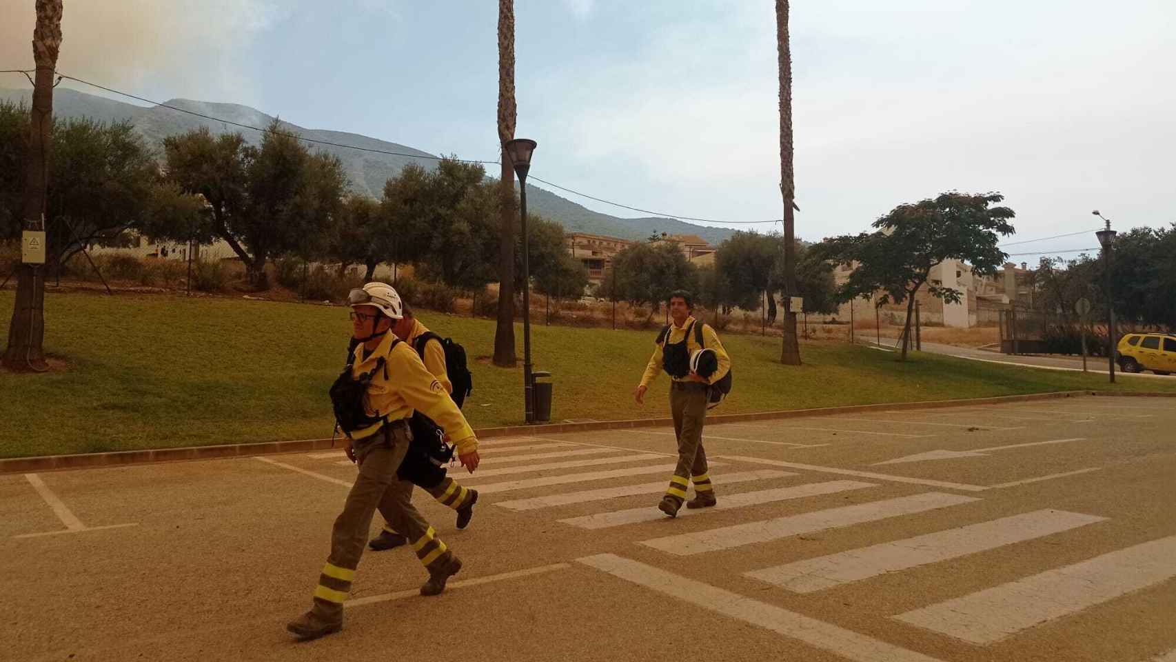 Una imagen de bomberos en el terreno.