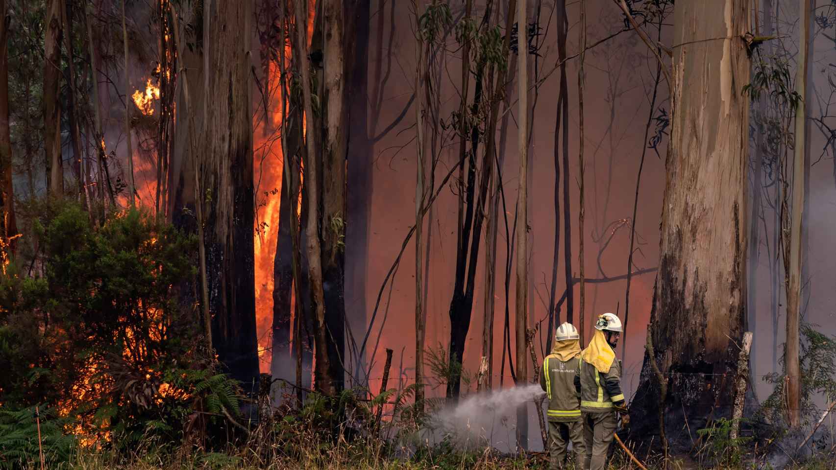 Incendio en San Sadurniño (A Coruña).