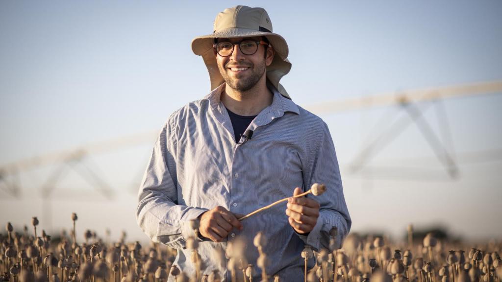 Julián ha cambiado los cereales por la adormidera en varias de sus parcelas agrícolas cercanas a Membrilla (Ciudad Real)