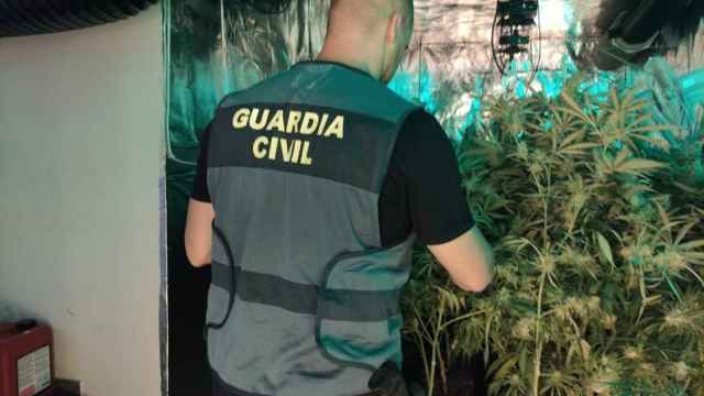 Extensión de la Operación Pino en Ávila